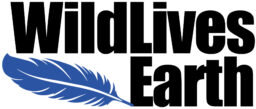WildLives Earth logo